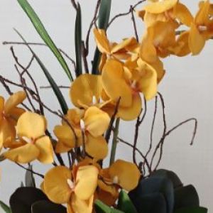 Arranjo orquídeas permanentes