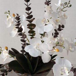 Arranjo orquídeas permanentes