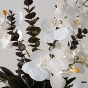 Arranjo orquídeas permanentes