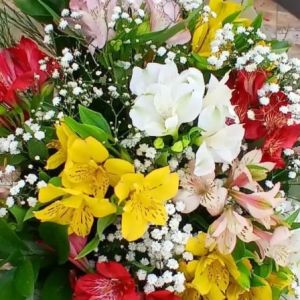 Buquê com Astromélias e Gypsophila paniculata