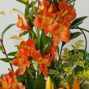 Lírio Com Astromélia